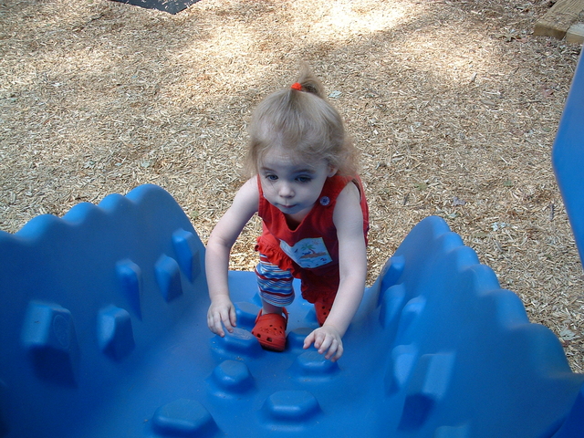 DSCF0245.JPG