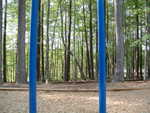 DSCF0271.JPG
