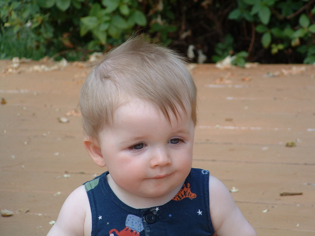 DSCF0398.JPG