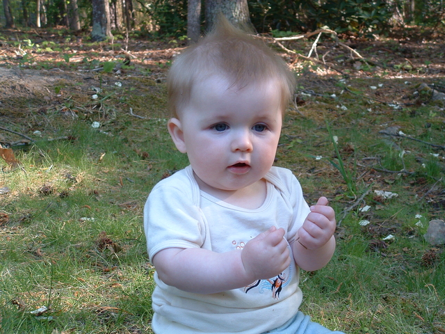 DSCF0186.JPG