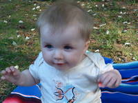 Highlight for Album: Springtime In Our Backyard