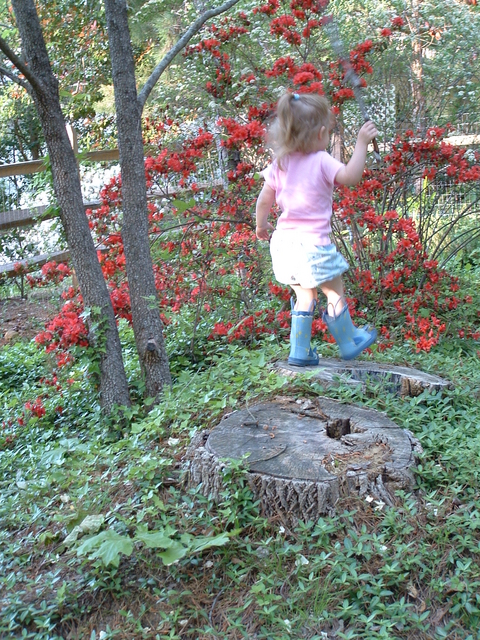 DSCF0241.JPG